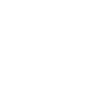 brasilseg