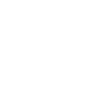 rodonaves